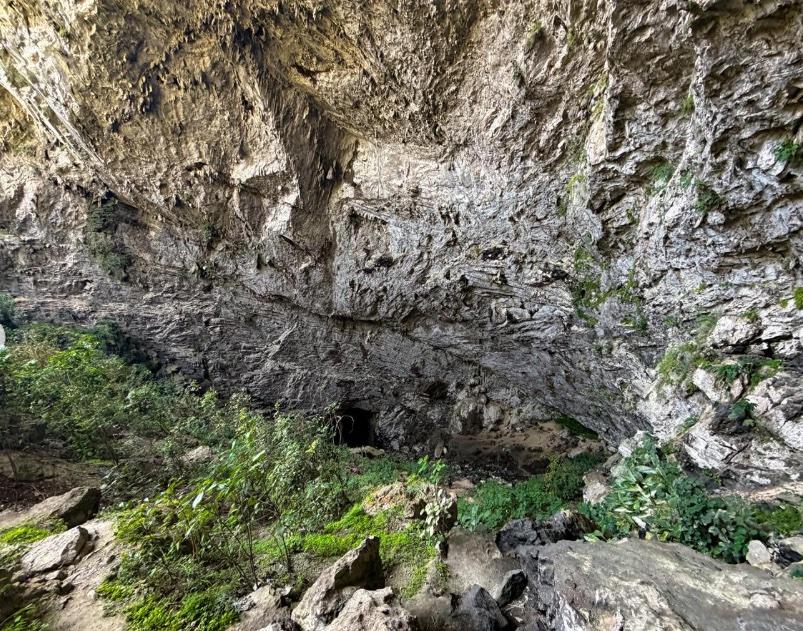 Cueva del Salitre — Xilitla — foto 4