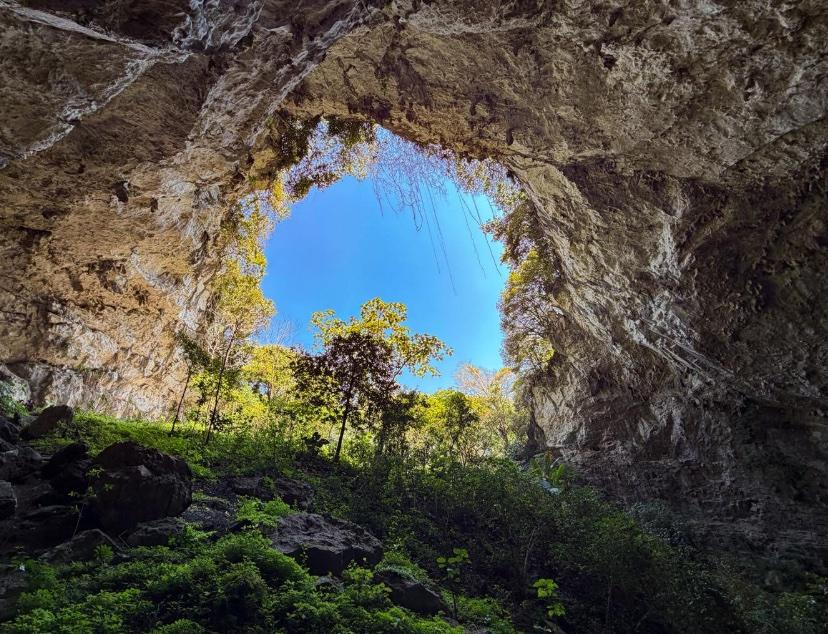 Cueva del Salitre — Xilitla — foto 7
