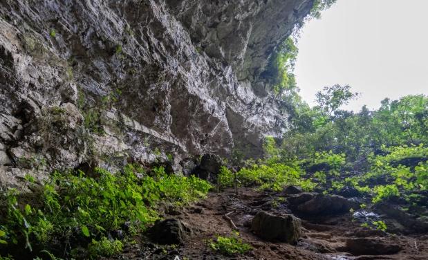 Cueva del Salitre — Xilitla — foto 8