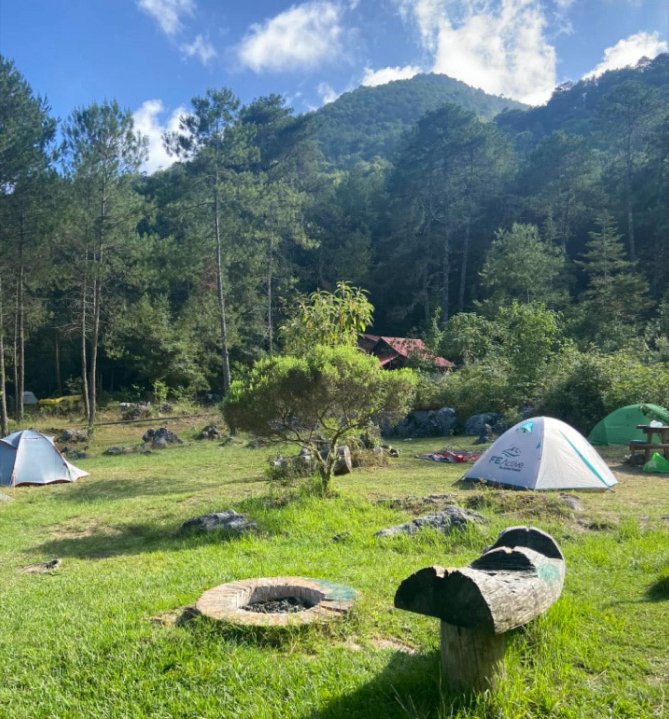 La Trinidad — Bosque de Niebla de Xilitla — foto 3