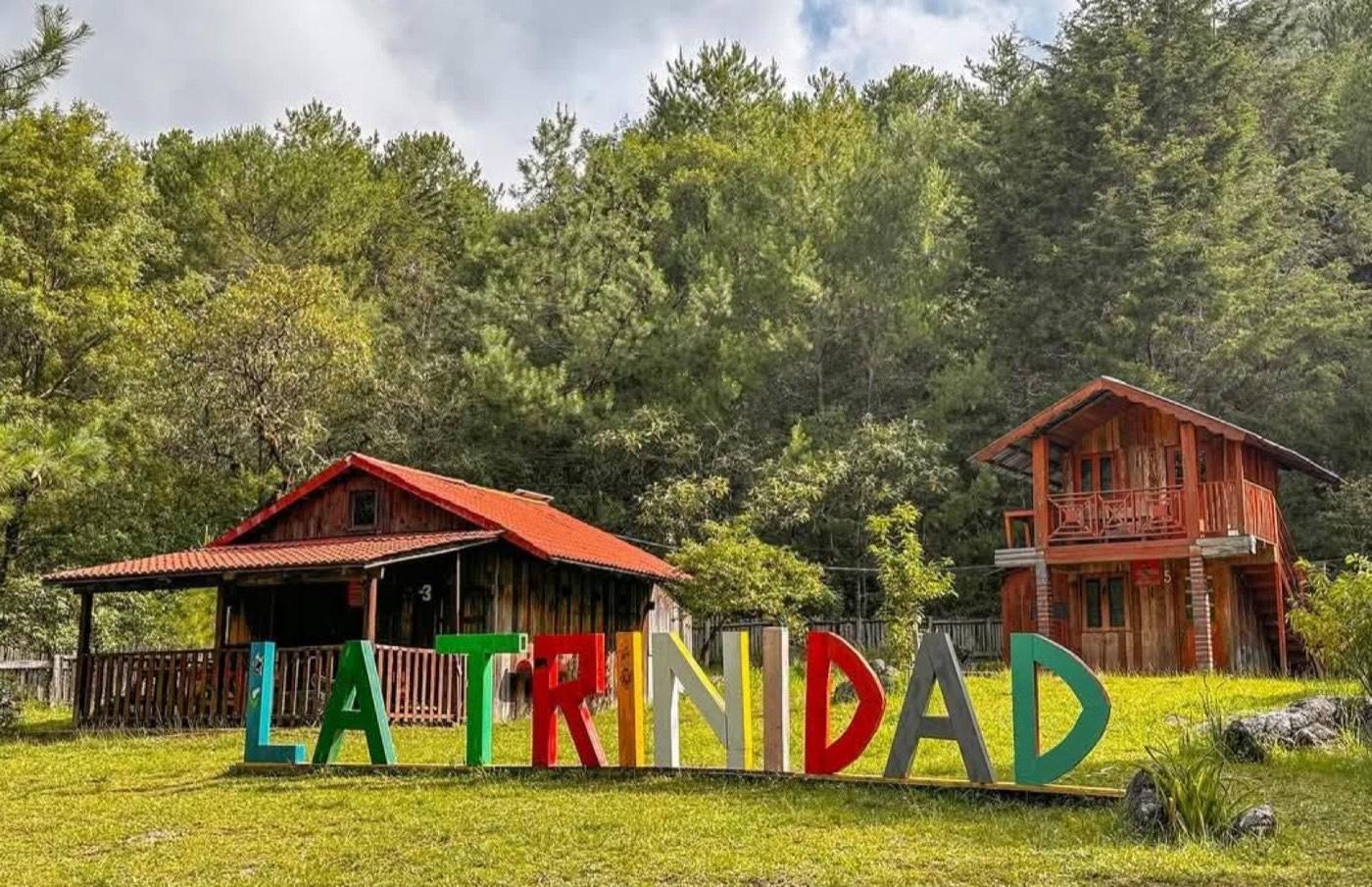 La Trinidad — Bosque de Niebla de Xilitla — foto 6
