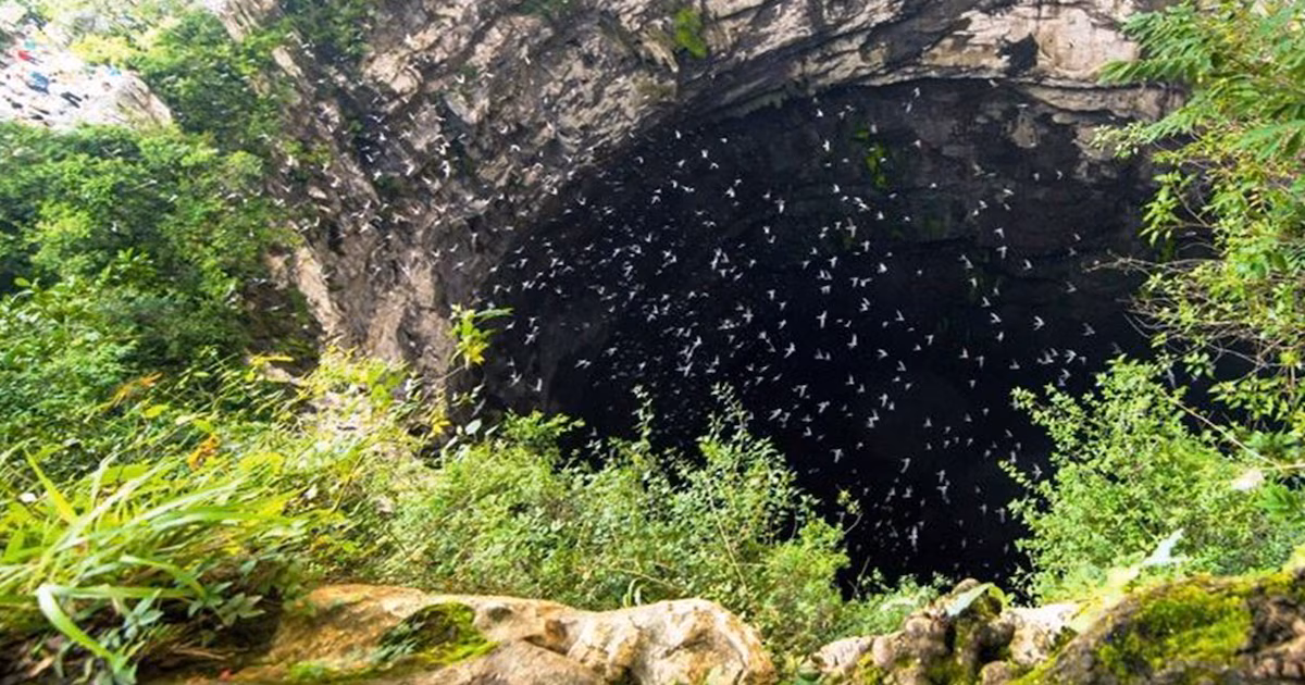 Sótano de las Golondrinas — foto 3