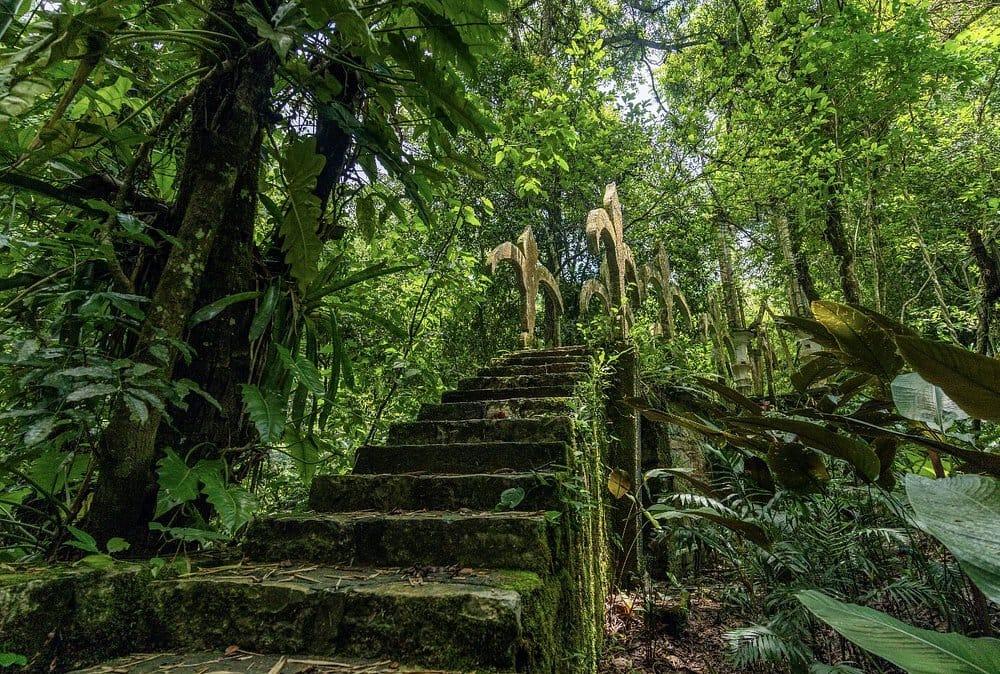 Las Pozas — escalinata cubierta de musgo