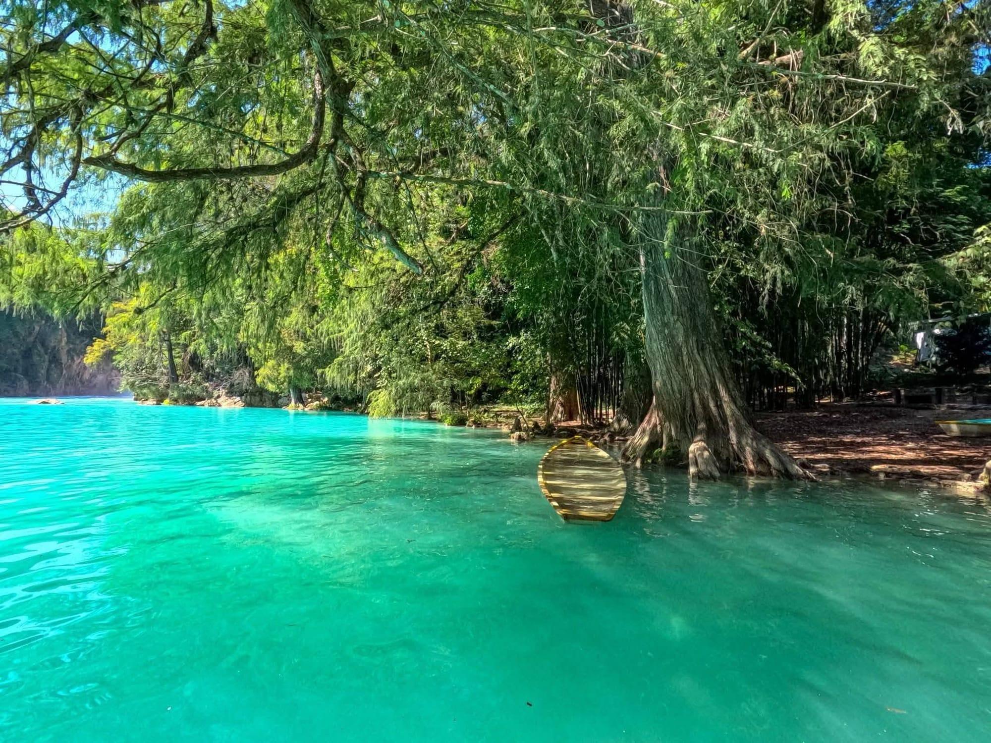 Huasteca Potosina — río turquesa bajo sabinos centenarios
