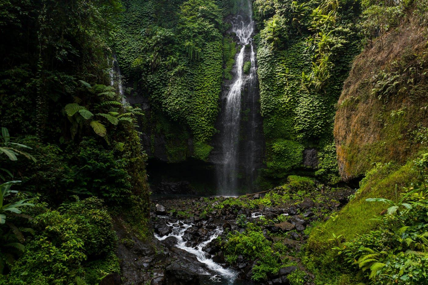 Cascada alta cayendo entre las paredes verdes de un cañón selvático de la Huasteca Potosina