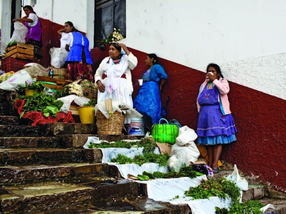 El tianguis de Xilitla — Pueblo Mágico Surrealista