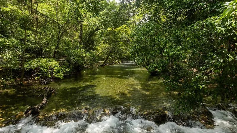 Nacimiento de Tambaque — foto 2