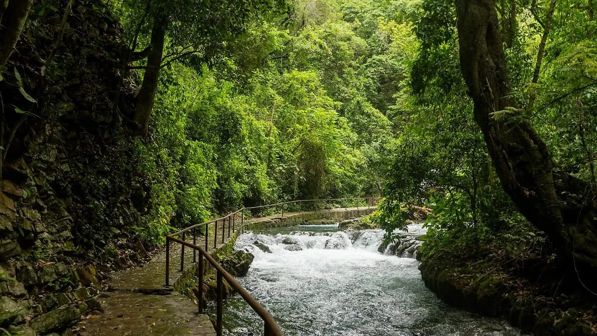Nacimiento de Tambaque — foto 3