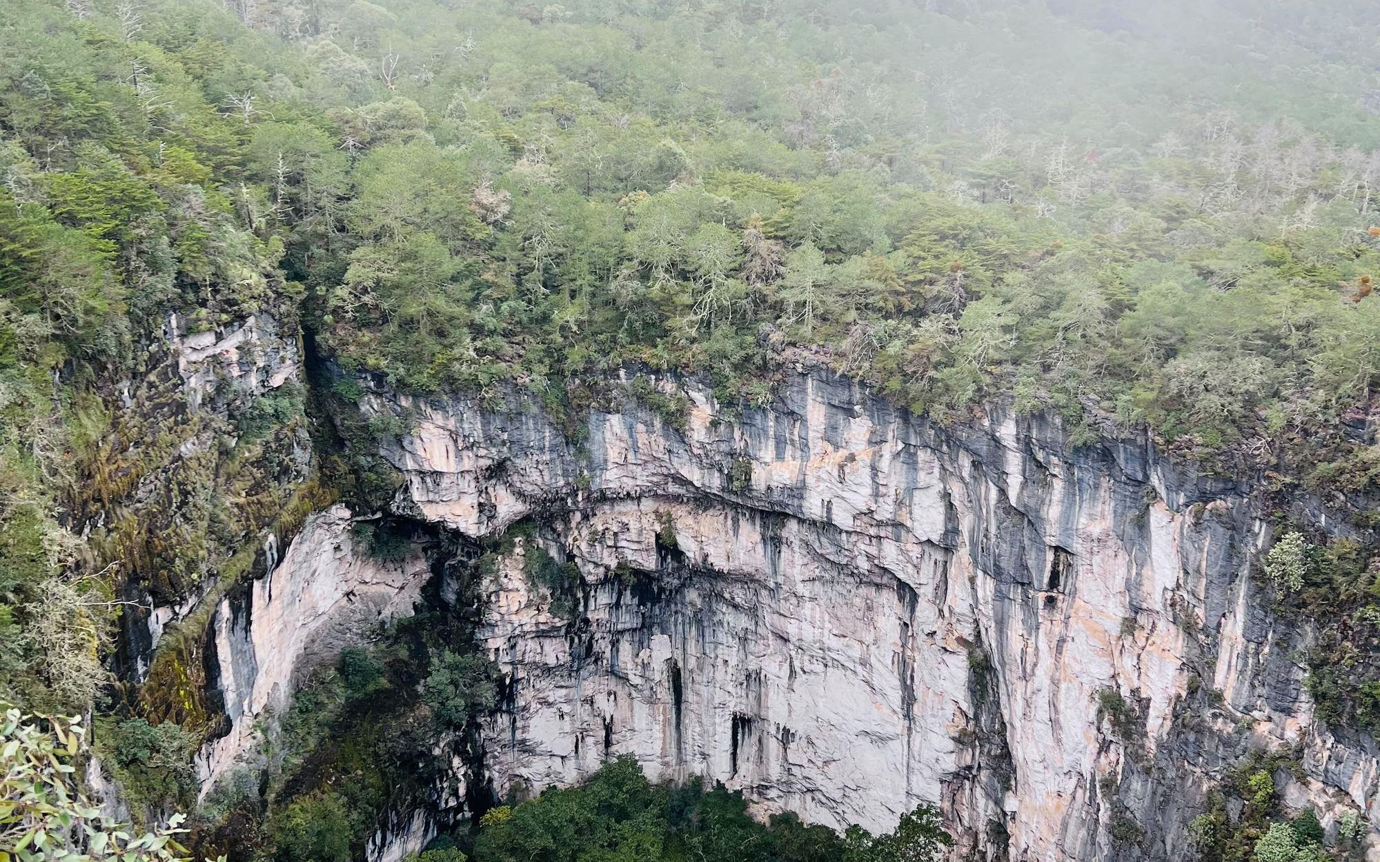 Olla de la Luz — El Sótano del Bosque de Niebla de Xilitla