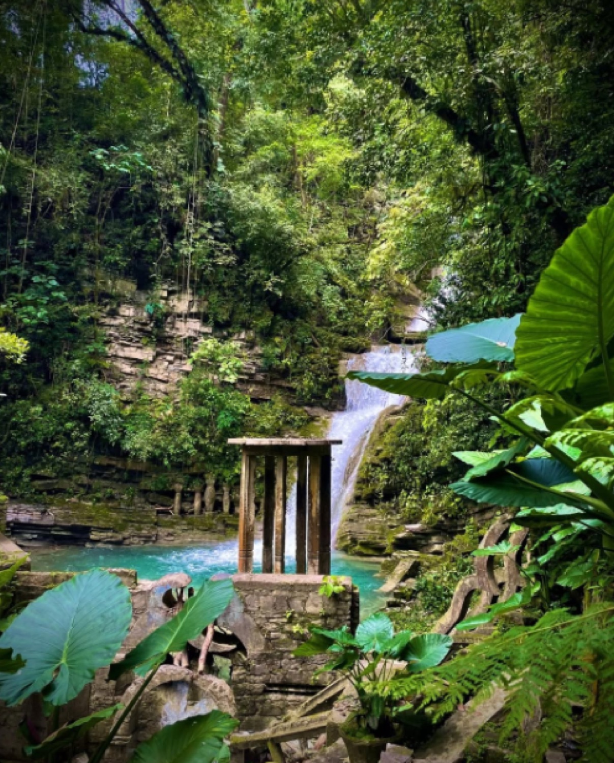 turismo naturaleza guía viaje Huasteca Potosina