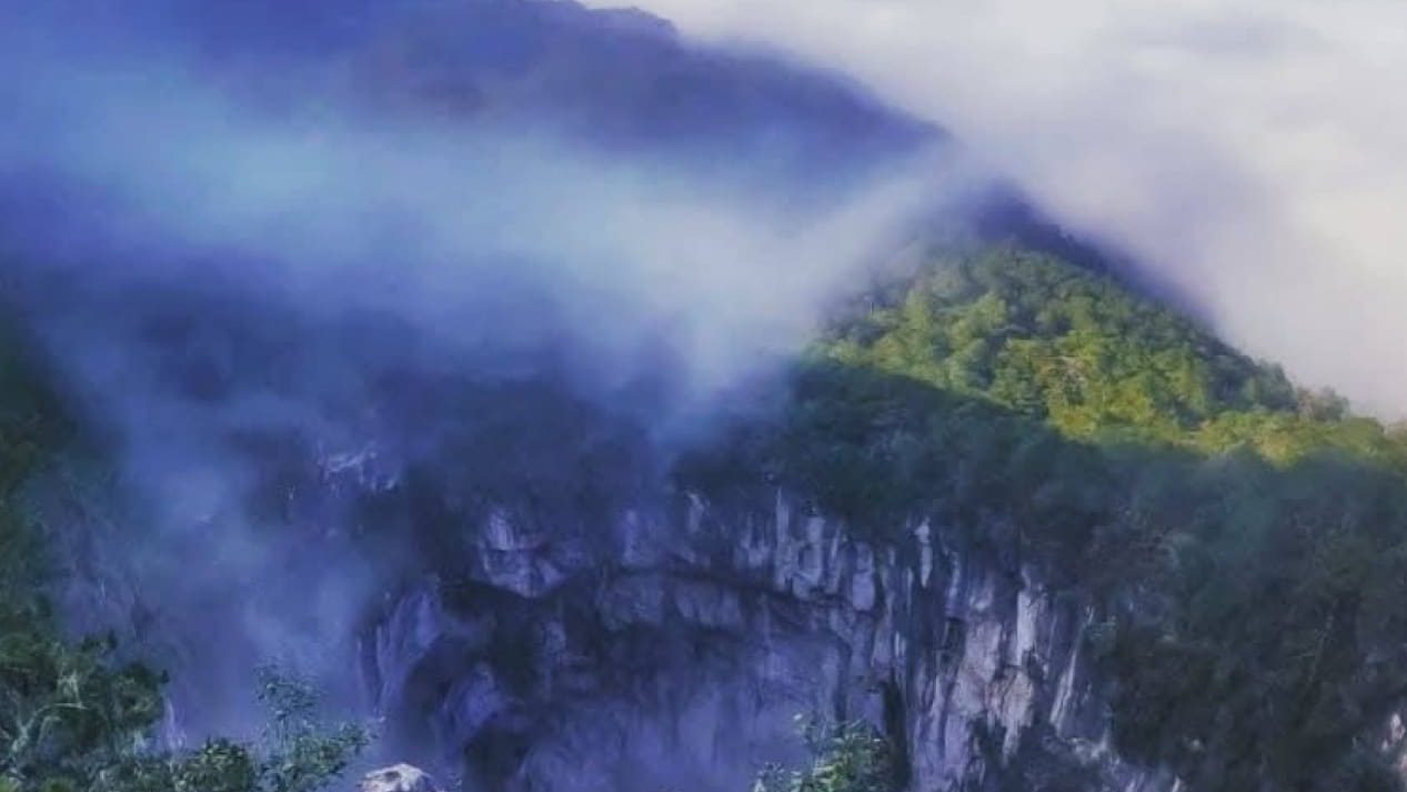 La Trinidad: el bosque de niebla de Xilitla — guía completa 2026