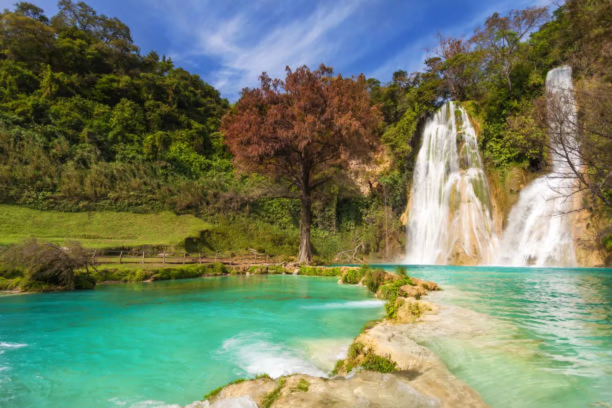 selva potosina densa y verde en la Huasteca Potosina durante temporada de lluvias