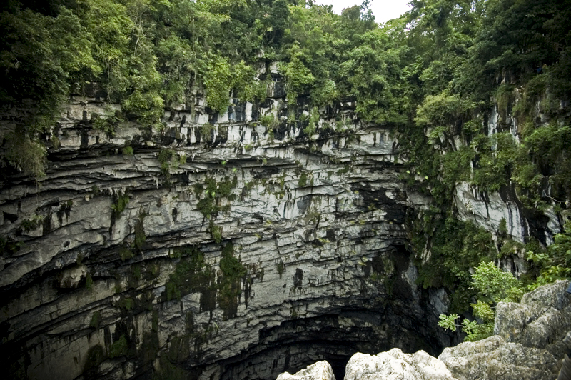 Sótano de las Golondrinas: La Cueva más Profunda de México — Huasteca Potosina