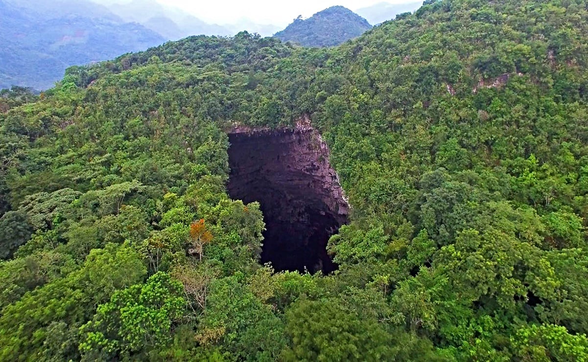 vencejos golondrinas guía viaje Huasteca Potosina