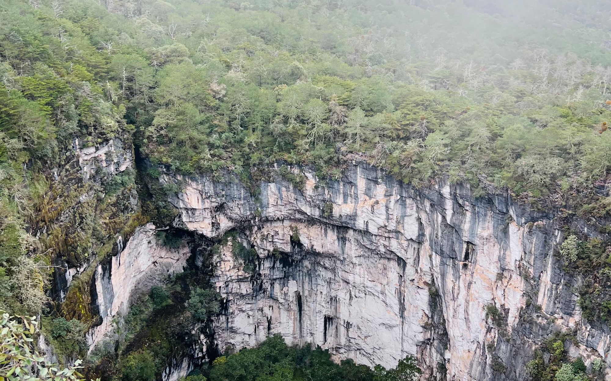 Olla de la Luz — El Sótano del Bosque de Niebla de Xilitla