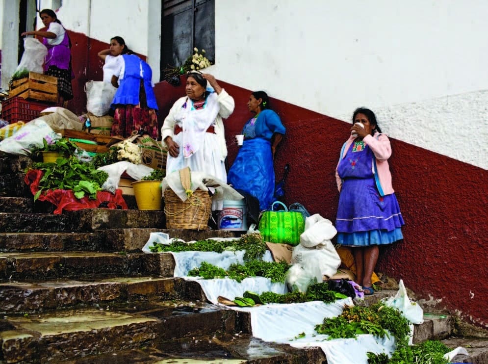 Vendedoras en el tianguis de Xilitla con verduras y flores